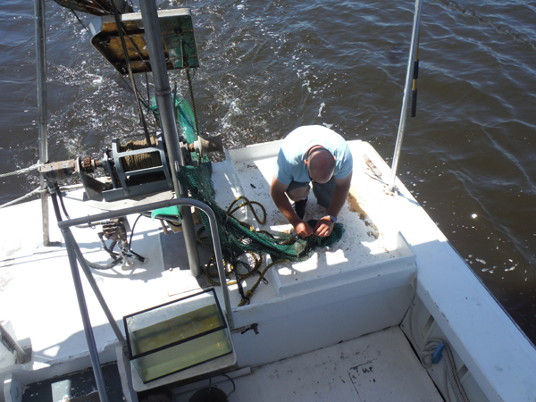 securing the net